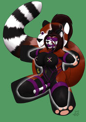 2018 ailurid anthro ayame_(darkwalker34) ball_gag bitchsuit black_horn black_nose blindfold bondage bound breasts female fixed_toy frogtied gag gagged goliathcpg horn key legs_tied lock mammal nipples padlock purple_ball_gag purple_eyes purple_rope red_panda rope rope_bondage sensory_deprivation solo striped_tail stripes toyification vibrator vibrator_on_pussy