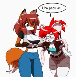 2girls animated anthro becky_box bouncing_breasts cleavage female female_only fox fox_ears fox_tail huge_breasts kojiro-brushard linda_the_mouse mouse mouse_ears mouse_tail multiple_girls original