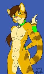 2017 anthro blue_background bound brown_hair collar collar_only felid feline genitals goliathcpg green_collar green_eyes green_rope hair hi_res male mammal nude penis pink_nose rope simple_background wrists_tied