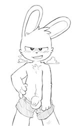 anthro balls blush bottomwear clothed clothing flaccid foreskin fur genitals hands_on_hips hi_res lagomorph leporid looking_at_viewer male mammal monochrome narrowed_eyes oob open_mouth partially_clothed penis presenting presenting_penis rabbit shorts shorts_down solo standing steam