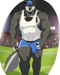 2020 anthro blue_baseball_cap blue_bottomwear blue_clothing blue_shorts bottomwear bulge canid canine canis clothing coach_mika english_text facial_hair football_field fur genital_outline grey_body grey_fur hi_res looking_at_viewer male male_only mammal muscular muscular_anthro muscular_arms muscular_legs muscular_male nipples pecs penis_outline pink_nipples portrait shorts signature solo text three-quarter_portrait translucent translucent_clothing whistle_(object) wolf yellow_eyes zawn