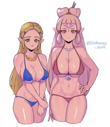 2girls bare_shoulders bikini blonde_hair blue_bikini braid breasts cleavage collarbone cropped_legs double_bikini forehead_tattoo green_eyes hair_bun hair_ornament hairclip hand_on_hip highres hylian hyrule_warriors:_age_of_calamity impa impa_(age_of_calamity) jewelry large_breasts looking_at_viewer multiple_girls navel necklace nintendo pointy_ears princess_zelda red_bikini red_eyes sheikah silver_hair simple_background smile subway_sum swimsuit the_legend_of_zelda toned white_background zelda_(breath_of_the_wild)