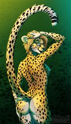 2020 alishka anthro areola blonde_hair blue_eyes breasts cheetah digital_media_(artwork) eyewear felid feline female fur genitals glasses hair hi_res mammal nipples pussy solo spots spotted_body spotted_fur standing yellow_body yellow_fur