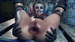 3d anal batman_(series) blender dc dc_comics female full_color gaping_anus harley_quinn harley_quinn_(injustice) huge_gape hyper_gape injustice_2 no_penetration roriori ruined_anus solo solo_female tunnel_gape wrecked_ass