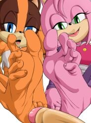 1boy 2d 2girls 5_toes amy_rose amy_rose_(boom) badger bare_legs barefoot blue_eyes brown_fur brown_hair dress eulipotyphlan everyone eyelashes feet female foot_fetish foot_focus furry furry_with_non-furry green_eyes group_sex half-closed_eyes hedgehog highres human humanoid_feet interspecies large_feet legs long_eyelashes long_sleeves male mammal medium_hair multiple_girls no_penetration orange_fur orange_hair pink_dress pink_fur pink_hair purple_sleeves rankerhen sega sleeves smile soles sonic_(series) sonic_boom sonic_the_hedgehog_(series) sticks_the_badger sticks_the_jungle_badger straight strapless threesome tied_hair toenails toes tubetop twintails