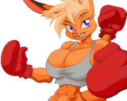 1girls abs alpha_channel animated anthro big_breasts blonde_hair blue_eyes bottomless bouncing_breasts boxing boxing_gloves breasts cleavage clothing digital_media_(artwork) female female_focus furry gloves hair handwear hazaz huge_breasts kangaroo ko_(fabio_paulino) looking_at_viewer macropod mammal marsupial mixed_boxing muscular muscular_female pixel_art red_boxing_gloves red_gloves skimpy smile solo solo_female sport top_heavy transparent_background