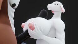 16:9 3d_(artwork) animated anthro big_breasts bovid breasts caprine female furry holding_breast huge_breasts male mammal medial_ring melody_(rumakis) nude paizuri rumakis sex sheep short_playtime straight titjob widescreen