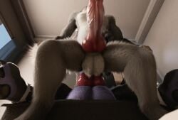 2boys 3d anal anal_knotting animated anthro anthro_on_feral balls becoming_erect big_belly canine_penis cum cum_in_ass cum_inside cum_while_penetrated cumflation dildo feral feral_on_anthro feral_penetrating feral_penetrating_anthro fully_sheathed furry_only gay getting_erect h0rs3 houndoom inflation knot knotted_dildo knotted_penis knotting male male/male male_penetrated mp4 penis sex_toy sheath sound tagme video