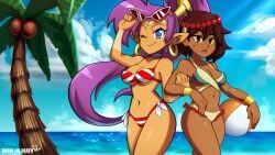 2girls ajna_(indivisible) beach bikini blue_eyes breasts brown_eyes brown_hair cleavage crossover dark_skin draw-till-death female female_only indivisible long_hair looking_at_viewer navel one_eye_closed outside ponytail purple_hair shantae shantae_(character) shiny_skin smile standing sunglasses_on_head swimsuit tagme thighs