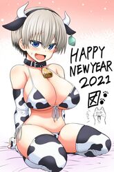 1girls 2021 blue_eyes collar cow_bikini cow_ears cow_print cowbell ear_tag female female_only fit_female hourglass_figure large_breasts light-skinned_female new_year official_art slim_waist tagme take_(shokumu-taiman) thick_thighs thighhighs uzaki-chan_wa_asobitai! uzaki_hana white_hair wide_hips