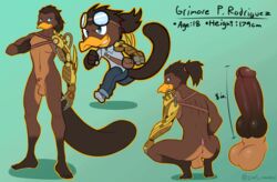 animal_genitalia anthro anus balls blue_eyes bottomwear brown_body brown_fur brown_penis clothed clothing crouching cybernetic_arm cybernetic_limb cybernetics eyeball6300_(chiv) eyewear fur furry genitals goggles hair hi_res humanoid_genitalia humanoid_penis hybrid_genitalia hybrid_penis knot knotted_humanoid_penis machine male mammal membrane_(anatomy) model_sheet monotreme nude pants penis platypus ponytail running satchel sheath smile solo steampunk webbed_feet