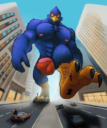 anthro avian beak bird blue_body bulge car city clothing detailed_bulge falco_lombardi feet geltydrake genital_outline genitals hi_res low-angle_view macro male muscular muscular_male nintendo penis rampage solo speedo star_fox stomping swimwear talons toes togepi1125 vehicle