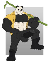 2021 abs absurd_res anthro balls bamboo barazoku beastars big_muscles big_quads black_sclera boots border bottomless clothed clothing erection footwear genitals giant_panda gouhin grey_background hi_res humanoid_genitalia humanoid_penis louftr male male_only mammal muscular muscular_anthro muscular_male navel nipples open_clothing open_shirt open_topwear pecs penis pubes quads scar shirt simple_background smile solo standing topwear ursid white_border