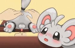 anal anal_penetration anal_sex animated anus balls blush cub cum cum_in_mouth elonga feral fingering_ass fingers fur furry grey_fur hands hands_on_ass minccino open_mouth penis pokémon_(species) pokemon pokemon_(species) pokephilia restrained sweat tagme tears tiny_penis zoophilia