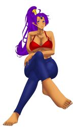 shantae (character) from shantae by rahizu