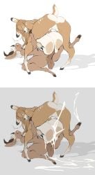 1boy 1girls 2d anthro areolae ass balls big_areola big_ass big_balls big_breasts big_penis black_nose breasts breasts_bigger_than_head brown_body brown_fur brown_hair bubble_ass bubble_butt buck_teeth cleavage color cowgirl_position digital_media_(artwork) dullvivid female female_focus fiona_fawnbags_(dullvivid) furry furry_only gigantic_breasts hooves huge_breasts huge_cock large_areolae looking_pleasured male nel_(dullvivid) nipples open_mouth paizuri penis pussy sagging_balls sagging_breasts straight tan_fur thick_thighs titjob voluptuous_female voluptuous_male white_background white_hair wide_hips