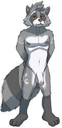 anthro cutie_mark foreskin genitals hasbro hi_res humanoid_genitalia male mammal my_little_pony nipples nude penis procyonid raccoon solo solo_focus spicy_poncho tattoo tribal uncircumcised