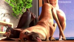 16:9 3d_(artwork) 3d_animation animal_genitalia animal_vulva animated anus ass ass_up breath canid canine canine_genitalia canine_vulva canis clenching_pussy cropped_ears digital_media_(artwork) dobermann docked_tail doggy_style domestic_dog erection faceless_character faceless_human faceless_male female female_penetrated feral feral_penetrated from_behind_position fur genitals great_dane group hi_res human human_on_feral human_penetrating human_penetrating_feral humanoid_genitalia humanoid_penis interspecies male male/female male_on_feral male_penetrating male_penetrating_female mammal maretriarch mastiff molosser nude panting penetration penile penis pinscher plap_(sound) pussy quadruped realistic_feral sex short_playtime short_tail sound sound_effects sound_warning tagme tail tail_motion tailwag tongue tongue_out trio vaginal_penetration video vulva widescreen zoophilia