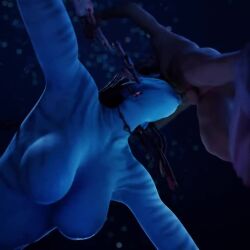 1boy 1girls 3d animated avatar balls blowjob breasts creationmach1ne duo featureless_breasts fellatio female larger_female low-angle_view male male/female na'vi nude oral penis size_difference smaller_male sound tagme taller_female taller_girl video