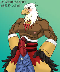 doctor_condor kyuuhari male_only sega tagme world_destruction