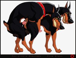 2boys anal animal_genitalia animal_penis anus canine canine_genitalia canine_penis collar desoto_(disney) disney doberman dog domestic_dog feral feral_on_feral feral_only feral_penetrated feral_penetrating gay imminent_anal imminent_sex klaus_doberman male/male male_only mammal oliver_and_company penis roscoe_(disney) testicles yaoi