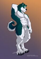 absurd_res animal_genitalia anthro armpit_hair balls belly big_balls big_sheath body_hair canid canine canis domestic_dog flat_colors fullbodywolf fur genitals green_body green_fur hi_res husky looking_at_viewer male mammal musclegut muscular muscular_anthro muscular_male nordic_sled_dog pecs sheath simple_background sketch solo spitz standing white_body white_fur wolf