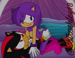 anthro ashley_the_hedgehog catrashley18 shadow_the_hedgehog shadshley sonic_(series)