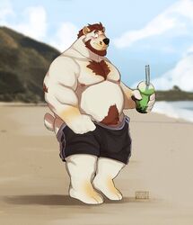 2021 anthro beach belly black_nose blush bonicfan123 clothing flufflecraft fur furry genitals hi_res humanoid_hands male male_only mammal moobs nipples outside overweight overweight_anthro overweight_male penis seaside solo swimwear ursid white_body white_fur