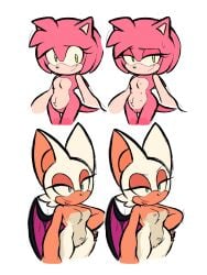 amy rose from sega