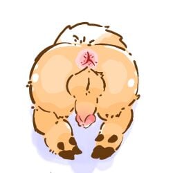 sibuxiang the deer (fabulous beasts) from fabulous beasts by craoluck