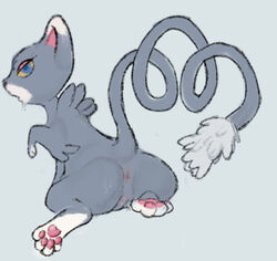 anus blue_eyes curled_tail felid female feral fur genitals glameow grey_body grey_fur mammal markings nintendo orange_sclera pawpads paws plumbelly pokémon_(species) pokemon pussy simple_background solo tail_tuft tuft video_games white_markings