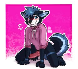absurd_res anthro balls blue_body blue_eyes blue_fur blue_hair blush bodily_fluids canid canine canis clothing collar domestic_dog erection fenneckiro flustered fur genital_fluids genitals hair hi_res hoodie husky kneeling knot knotted_penis leaking_precum male mammal multicolored_body multicolored_fur nordic_sled_dog penis precum shy solo spitz topwear vikohusky