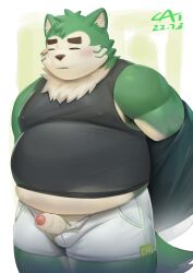 2022 absurd_res anthro belly big_belly blush cai1448331577 canid canine canis closed_eyes clothing domestic_dog genitals green_body hi_res humanoid_genitalia humanoid_penis kemono lifewonders live-a-hero male male_only mammal mokdai overweight overweight_male penis shirt solo solo_male topwear undressing video_games