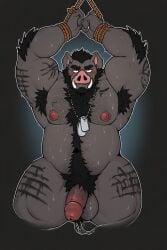 ai_generated boar bondage chains dog_tags hairy_armpits hairy_chest hairy_male swine tusks uncircumcised