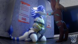 3d_(artwork) absurd_res animal_genitalia animal_penis anthro ass bathroom blue_body blue_genitals blue_hair blue_penis bodily_fluids bondage bound brown_body brown_fur clothed clothing digital_media_(artwork) duo erection felid feline fur genital_fluids genitals hair hi_res horn huge_filesize iynx iynxlynx kneeling lynx male male/male mammal muzzle_(object) mythological_creature mythology nude peeing peeing_on_another peeing_on_clothing peeing_on_ground penis public public_restroom restraints snubby standing straitjacket submissive submissive_male tail urine urine_on_ground urine_pool urine_stream watersports wet wet_clothing white_body wickerbeast widescreen