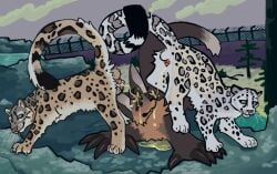 animal_genitalia animal_penis anthro anthro_on_feral anus balls blush bodily_fluids dipstick_tail enclosure felid feline_genitalia feline_penis feral fur gay gay_male gay_sex genital_fluids genitals golden_shower group group_sex guncht hair homosexual homosexual_male homosexual_sex korwin male male/male male_only male_penetrating male_penetrating_male mammal markings nude pantherine peeing peeing_on_another peeing_on_face penile_spines penis sex snow_leopard standing_on_another tail tail_markings threesome trio urine urine_on_face urine_on_ground urine_pool urine_stream watersports zoophilia