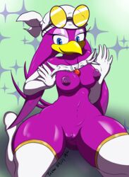 absurd_res anthro armwear avian bird breasts clothed clothing clothing_lift elbow_gloves eyewear eyewear_on_head female genitals glasses glasses_on_head gloves handwear hi_res kneeling legwear mostly_nude pussy sega shirt shirt_lift simple_background smile solo sonic_(series) sonic_riders teknomekanoid thigh_highs topwear wave_the_swallow