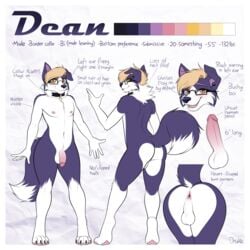 1:1 2021 4_toes 5_fingers absurd_res anthro anus ass balls big_butt black_claws black_collar black_eyewear black_glasses blonde_hair border border_collie canid canine canis character_sheet claws close-up collar collie conditional_dnp dean_(drako1997) domestic_dog drako1997 english_text erection eyewear fingers flaccid floppy_ears foreskin front_view fully_retracted_foreskin fur genitals glans glasses hair herding_dog hi_res humanoid_hands looking_at_viewer looking_back male male_focus male_only mammal mane model_sheet multiple_angles multiple_poses nipples original original_character pastoral_dog pawpads penis pink_anus pink_glans pink_inner_ear pink_nipples pink_pawpads pink_penis pose purple_body purple_fur raised_arm raised_tail rear_view sheepdog solo standing text thick_thighs toes uncircumcised uncut white_balls white_body white_border white_fur