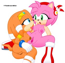 2girls amy_rose blue_eyes boots clitoris duo echidna gloves green_eyes hair hedgehog inkbunny licking looking_at_another multiple_girls neoeclipse open_mouth orange_body orange_hair pink_body pink_hair pussy sonic_(series) tiara tikal_the_echidna tongue tongue_out transparent_background yuri