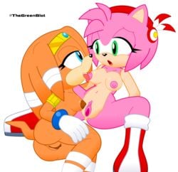 2girls amy_rose blue_eyes boots clitoris duo echidna gloves green_eyes hair hedgehog inkbunny licking looking_at_another multiple_girls neoeclipse open_mouth orange_body orange_hair pink_body pink_hair pussy sonic_(series) tiara tikal_the_echidna tongue tongue_out transparent_background yuri