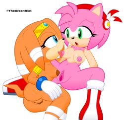 2girls amy_rose blue_eyes boots clitoris duo echidna gloves green_eyes hair hedgehog inkbunny licking looking_at_another multiple_girls neoeclipse open_mouth orange_body orange_hair pink_body pink_hair pussy sonic_(series) tiara tikal_the_echidna tongue tongue_out transparent_background yuri