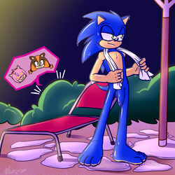 amy_rose anthro badger blue_body blue_hair brown_body drying female hair hedgehog male naughty_face notsafeforcurt orange_body penis pink_body pink_hair sonic_(series) sonic_the_hedgehog sticks_the_badger sticks_the_jungle_badger sticks_the_tejon towel twintails