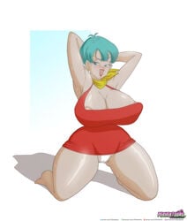 bulma briefs from dragon ball by riffsandskulls