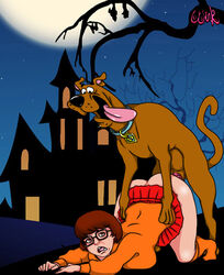 bat brown_eyes brown_hair canine castle dog_penis doggy_style exposed_ass freckles from_behind funny glasses hanna-barbera moon nerd on_all_fours penis rape scary scooby-doo scooby-doo_(character) screaming skirt socks surprised sweater tail thewink tongue tongue_out tree velma_dinkley zoophilia