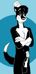 Chiaroscuro (Character) Rule 34 Image