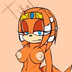 anthro big_breasts breasts female koro_kizama nude oekaki pixel_art sega sonic_(series) sonic_the_hedgehog_(series) tikal_the_echidna