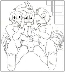 disney donald_duck jose_carioca male_only monochrome panchito_pistoles tagme the_three_caballeros