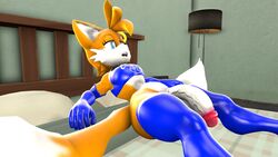 Sonic (Series) Rule 34 Image