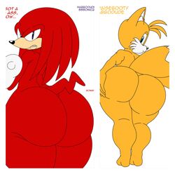 big_ass big_butt echidna fox furry habbodude knuckles_the_echidna looking_at_viewer looking_back male male_only sega sonic_(series) sssonic2 tails thick_ass thick_thighs video_game video_games