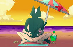 anthro anus ass ass_up avocato beach butt_grab domestic_cat duo felid feline felis final_space gary_goodspeed gay genitals hand_on_butt human male male/male males_only mammal rabbitcretin seaside ventrexian yaoi